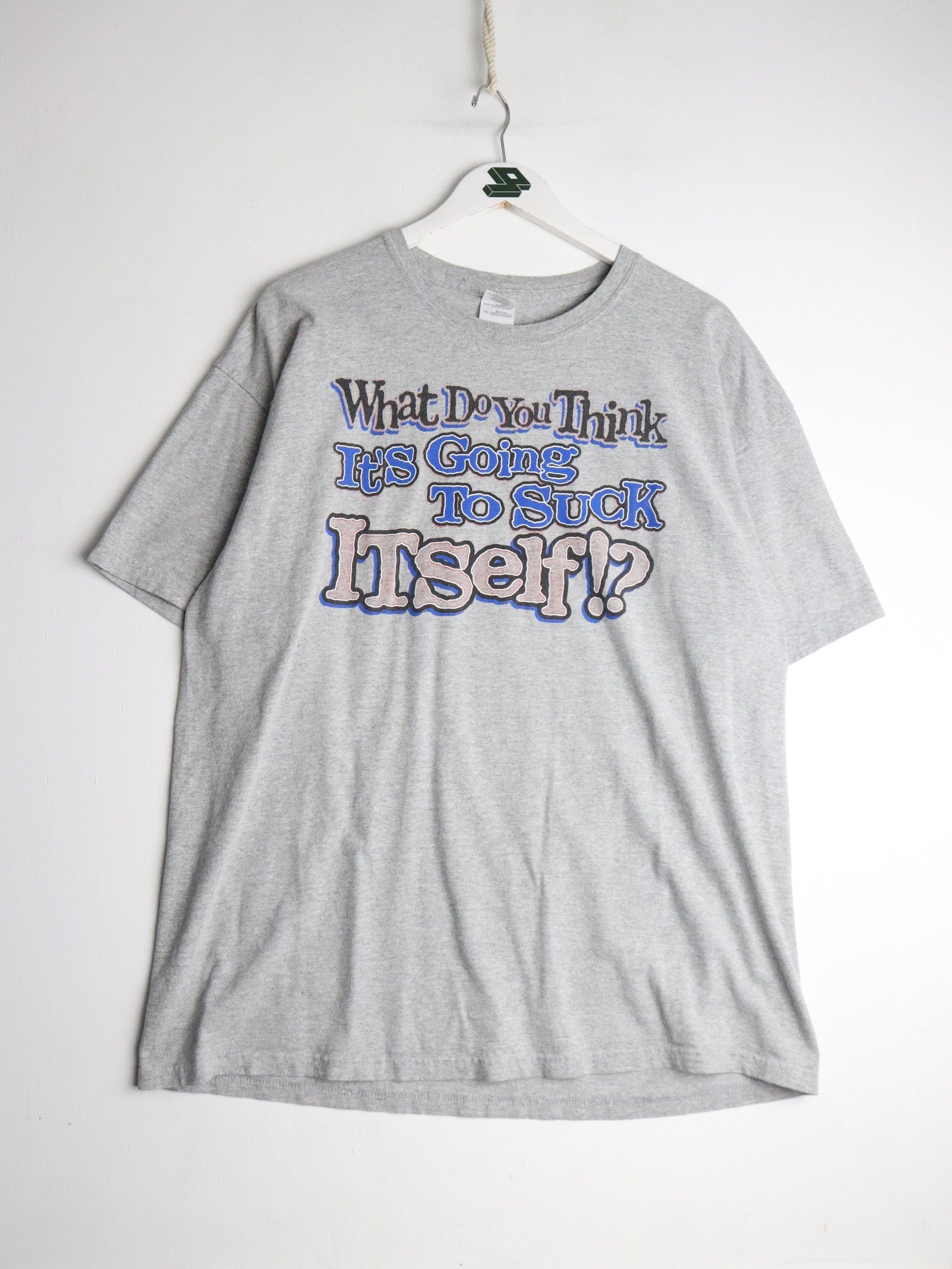 Suck Itself T Shirt Mens XL Grey Funny from propervintagecanada