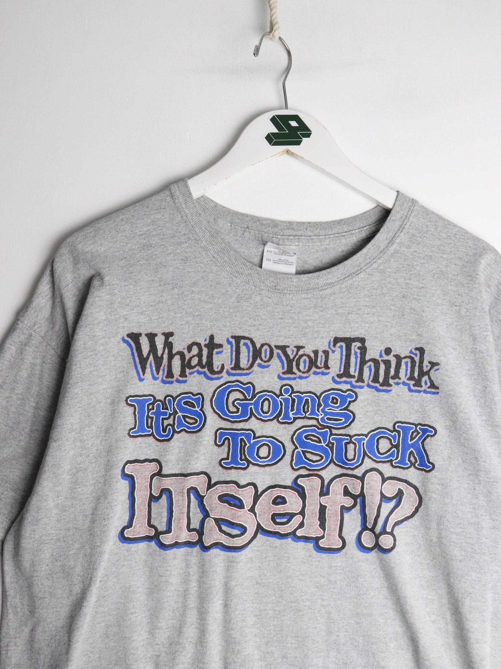 Suck Itself T Shirt Mens XL Grey Funny from propervintagecanada