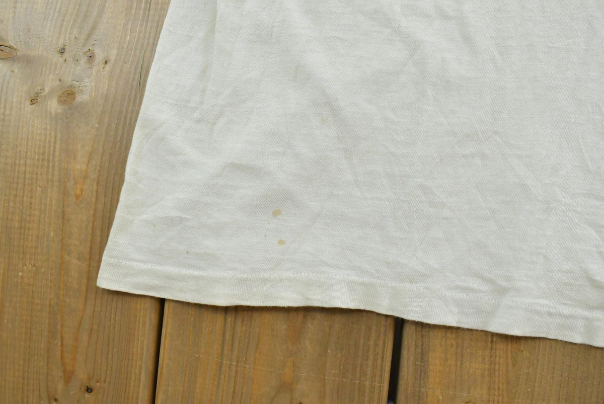 True Vintage 1970s Hanes Blank White T-Shirt Men's S from propervintagecanada