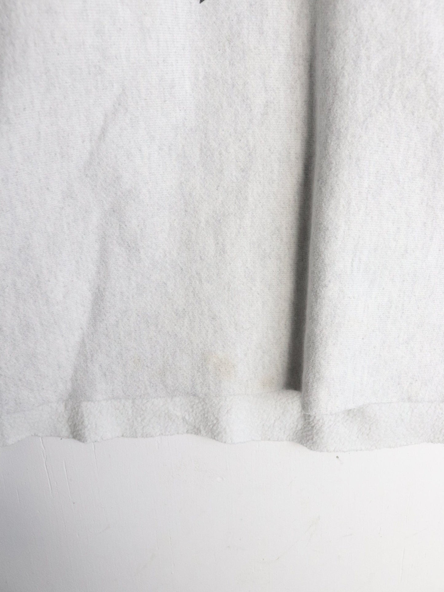 UMASS Boston Sweatshirt Adult Large Cropped Grey Champion Reverse Weave from propervintagecanada