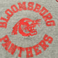 Vintage 1960s University of Bloomsburg Panthers Collegiate Hoodie Men's Large from propervintagecanada