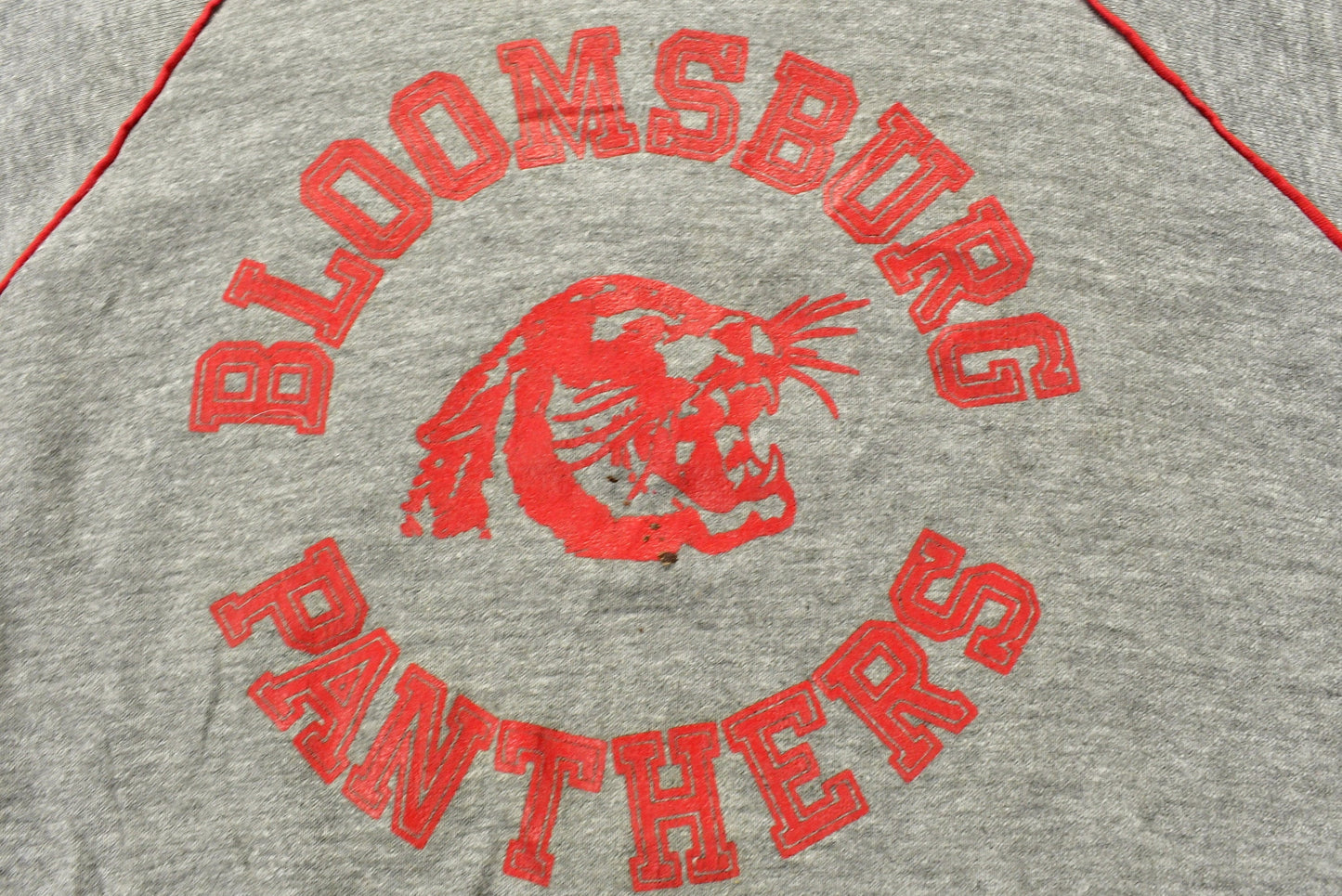 Vintage 1960s University of Bloomsburg Panthers Collegiate Hoodie Men's Large from propervintagecanada