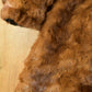 Vintage 1970s Albrecht Furs Full Length Brown Mink Fur Coat Adult M Men's Medium from propervintagecanada