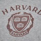 Vintage 1970s Champion Havard University Crewneck Made In USA - Small from propervintagecanada
