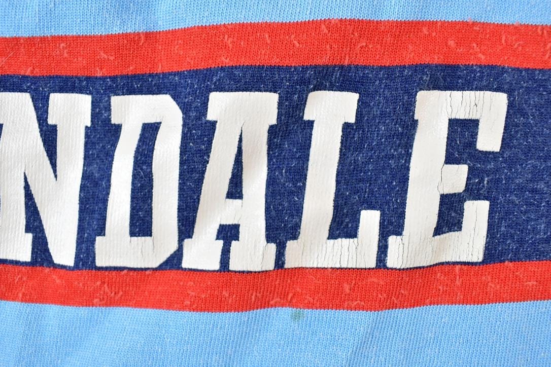 Vintage 1970s Erindale Hockey NHL Crewneck Sweatshirt Men's Small from propervintagecanada