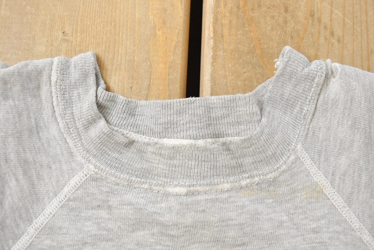 Vintage 1970s Harvard University Collegiate Champion Crewneck Men's XS from propervintagecanada