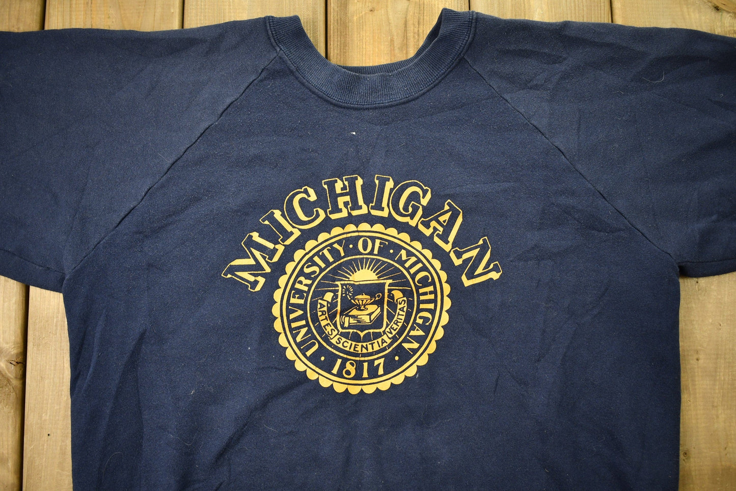 Vintage 1970s University of Michigan Collegiate Raglan Crewneck Sweater Men's Large from propervintagecanada