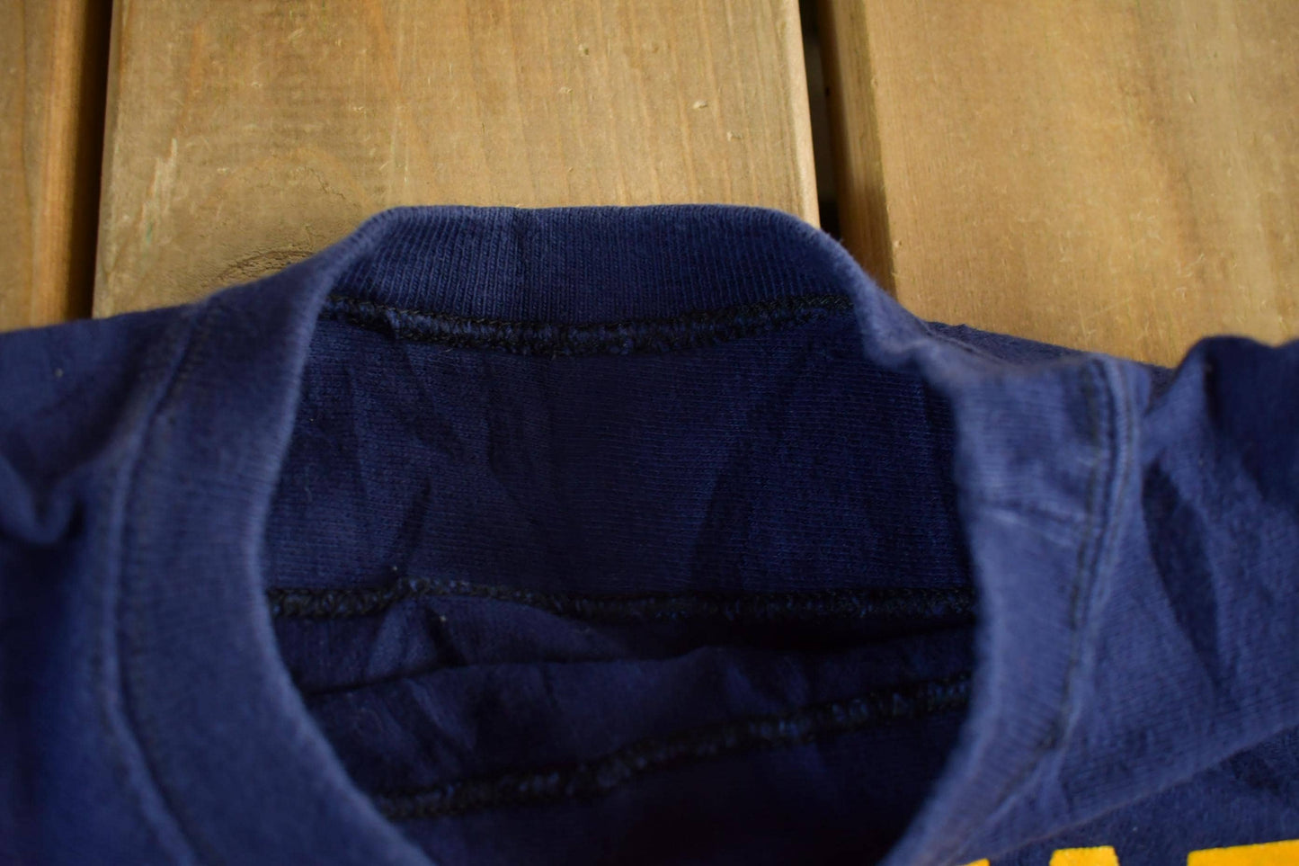 Vintage 1970s University of Wisconsin Eau Claire Champion T-Shirt Men's Large from propervintagecanada