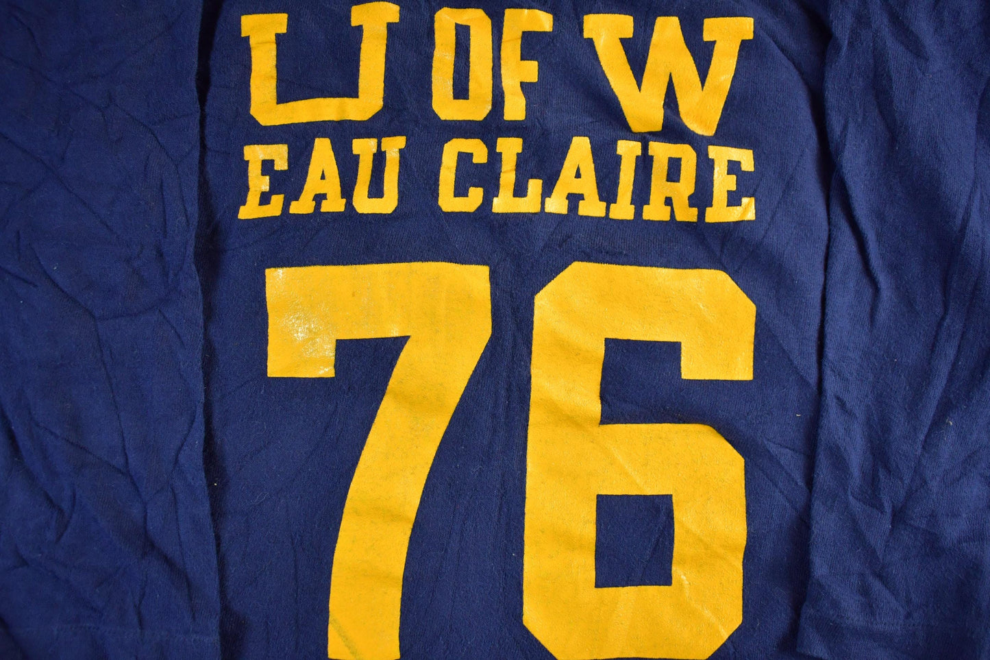 Vintage 1970s University of Wisconsin Eau Claire Champion T-Shirt Men's Large from propervintagecanada