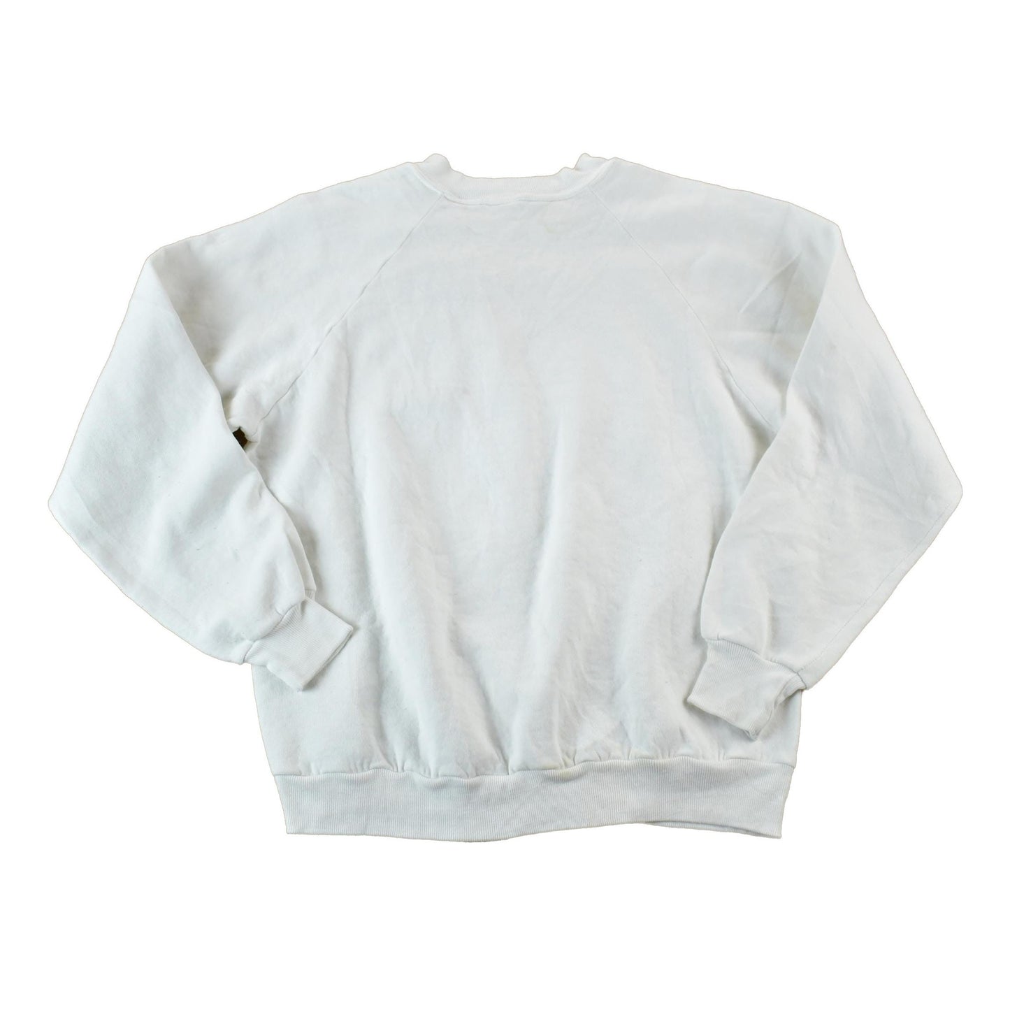 Vintage 1980s Birthdays Gators Souvenir Crewneck Sweatshirt Men's Large from propervintagecanada