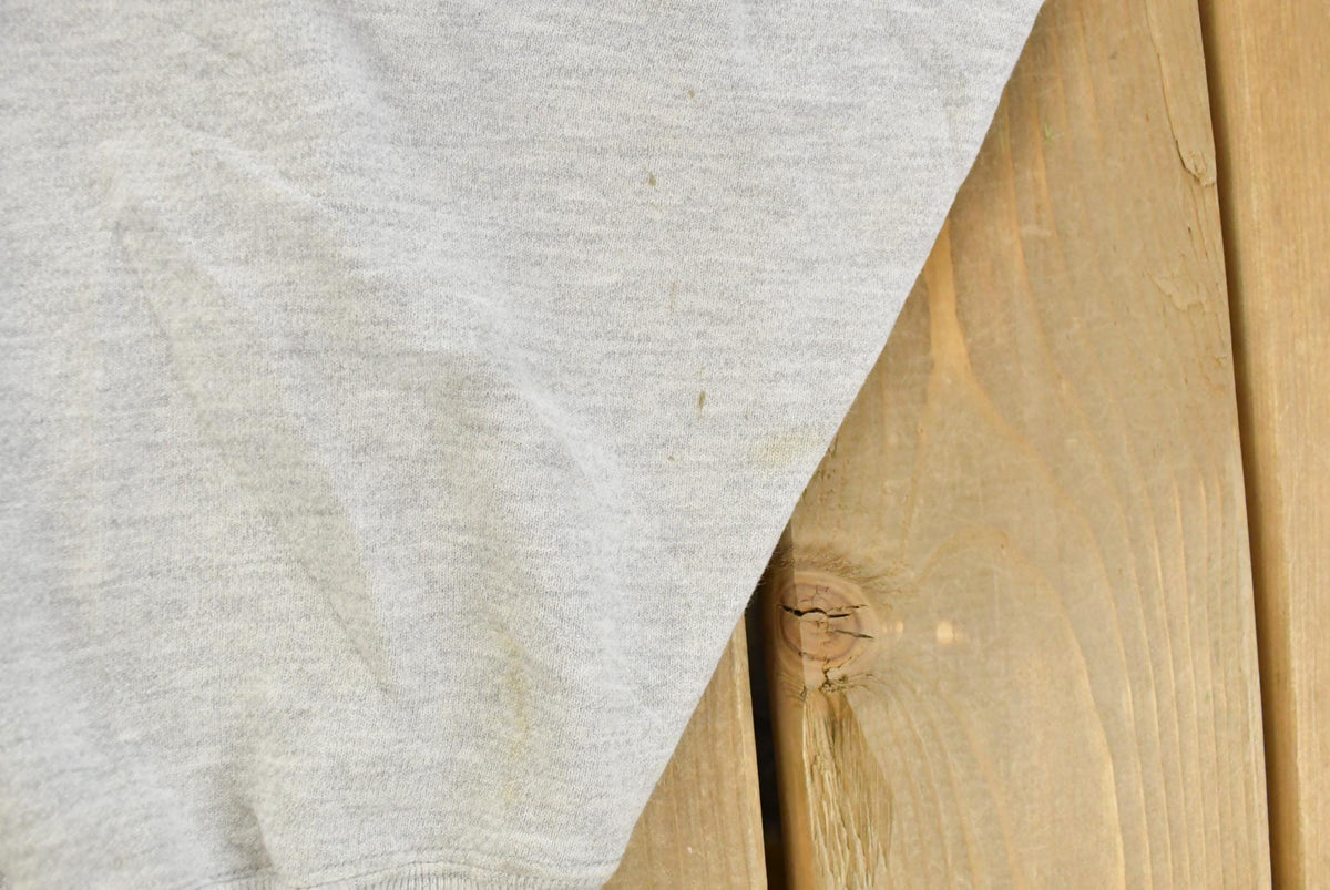 Vintage 1980s Champion Reverse Weave Journey to The Unknown Hoodie Men's XL from propervintagecanada