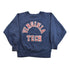 Vintage 1980s Champion Reverse Weave Warmup Virginia Tech Collegiate Crewneck Men&