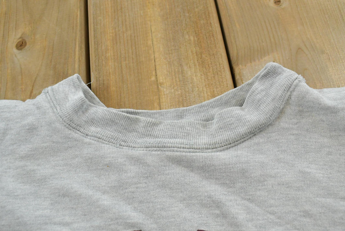 Vintage 1980s Champion University of Minnesota Duluth Double Face Reverse Weave Pocket Crewneck Sweatshirt Men's M / Made in USA Collegiate from propervintagecanada