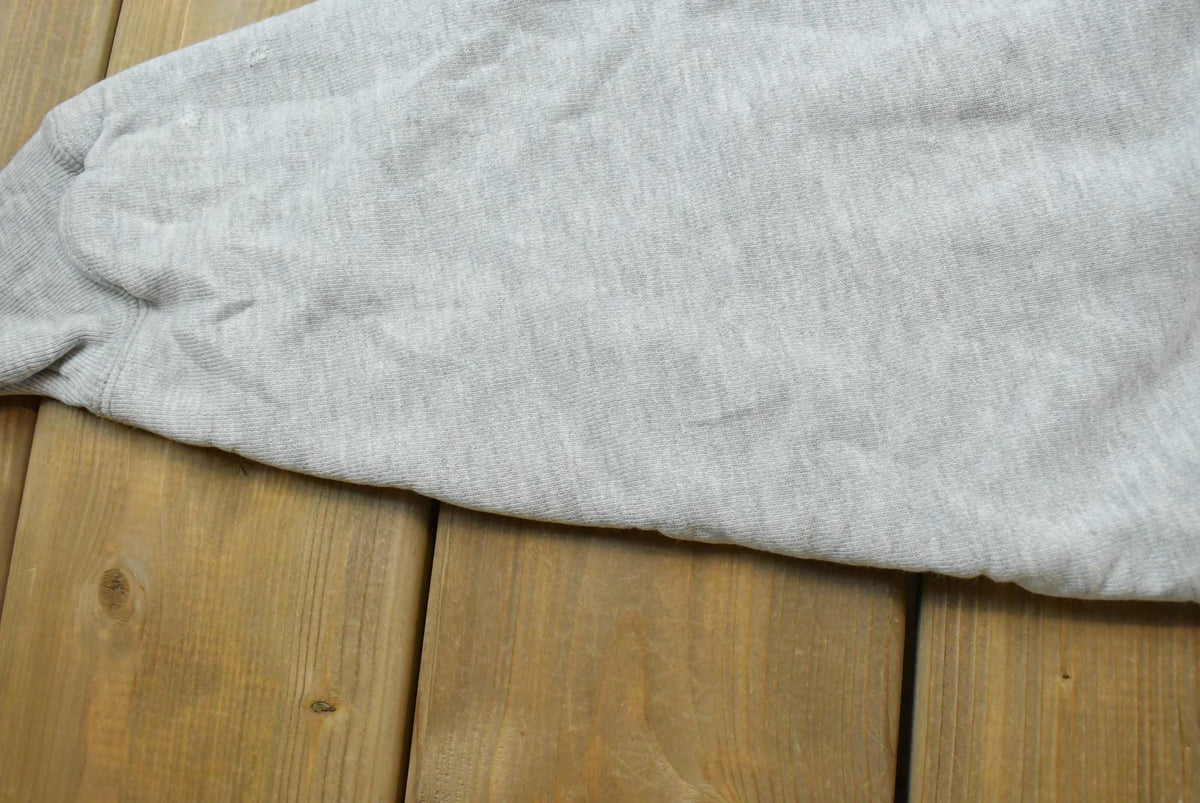 Vintage 1980s Champion University of Minnesota Duluth Double Face Reverse Weave Pocket Crewneck Sweatshirt Men's M / Made in USA Collegiate from propervintagecanada