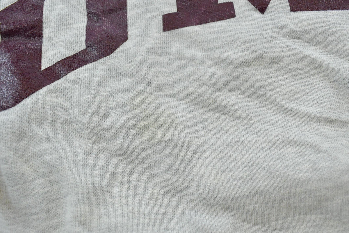 Vintage 1980s Champion University of Minnesota Duluth Double Face Reverse Weave Pocket Crewneck Sweatshirt Men's M / Made in USA Collegiate from propervintagecanada