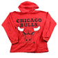 Vintage 1980s Chicago Bulls NBA Logo 7 Light Weight Hoodie Sweatshirt Men's Small from propervintagecanada