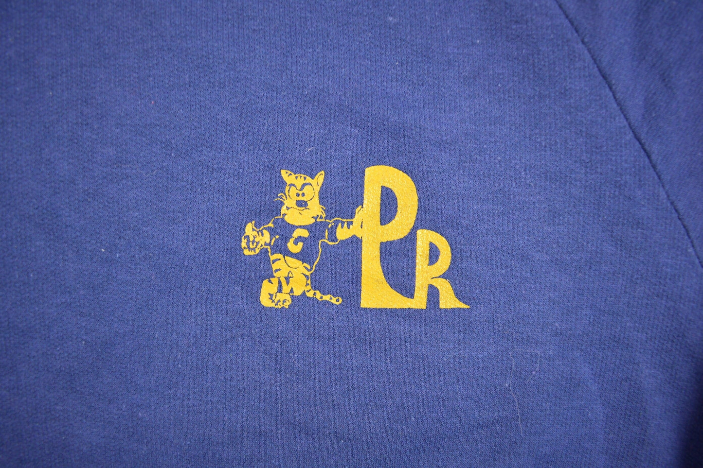 Vintage 1980s Collegiate Blue Sweatshirt Men's XS from propervintagecanada