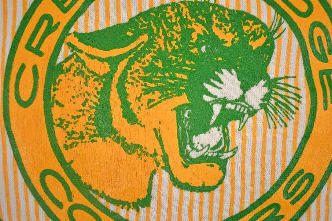 Vintage 1980s Crest Ridge Cougars Crewneck Sweatshirt Men's L from propervintagecanada