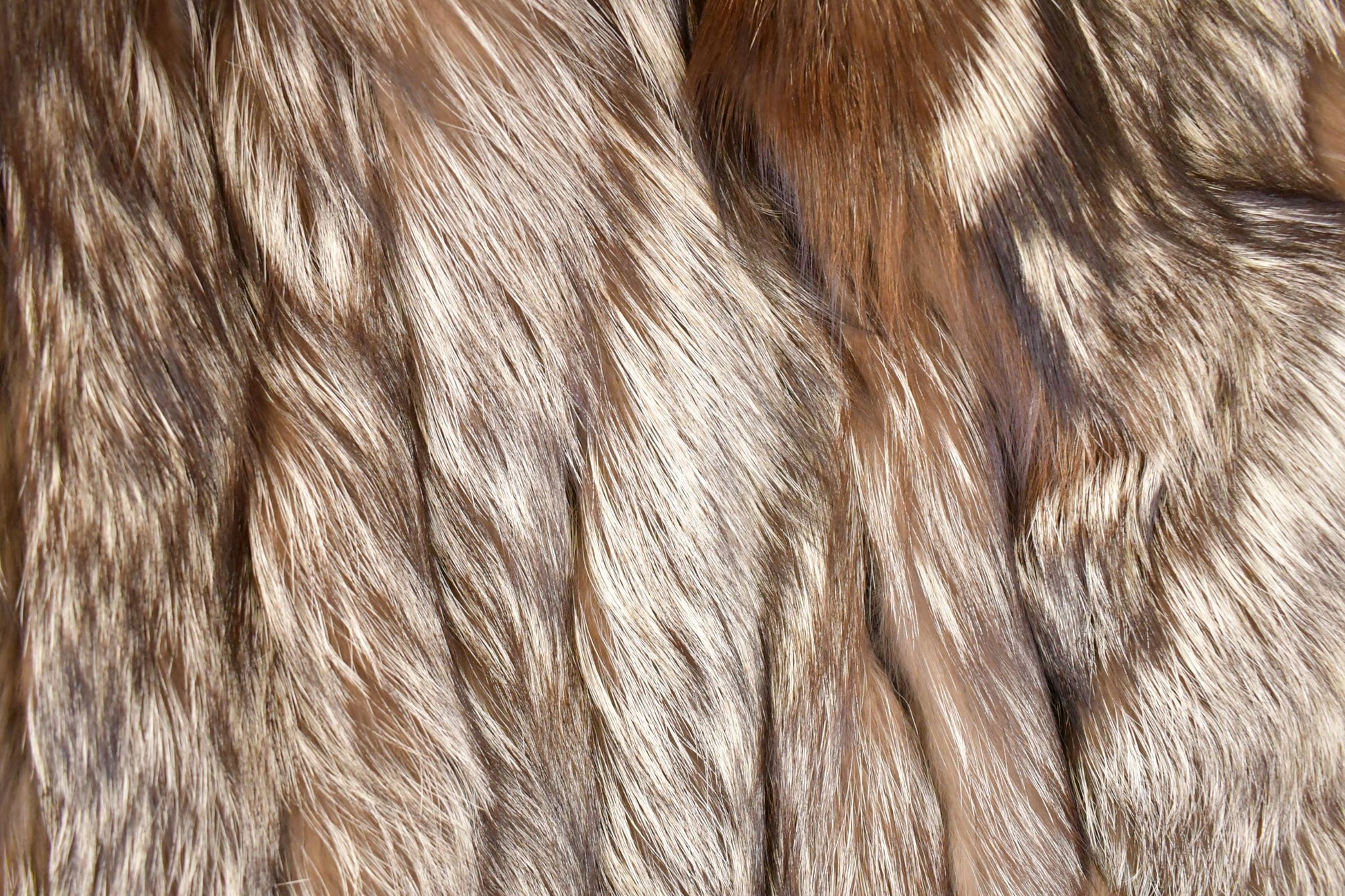 Vintage 1980s Grey Fox Mid Length Fur Coat Saga Fox Royal Made In USA from propervintagecanada