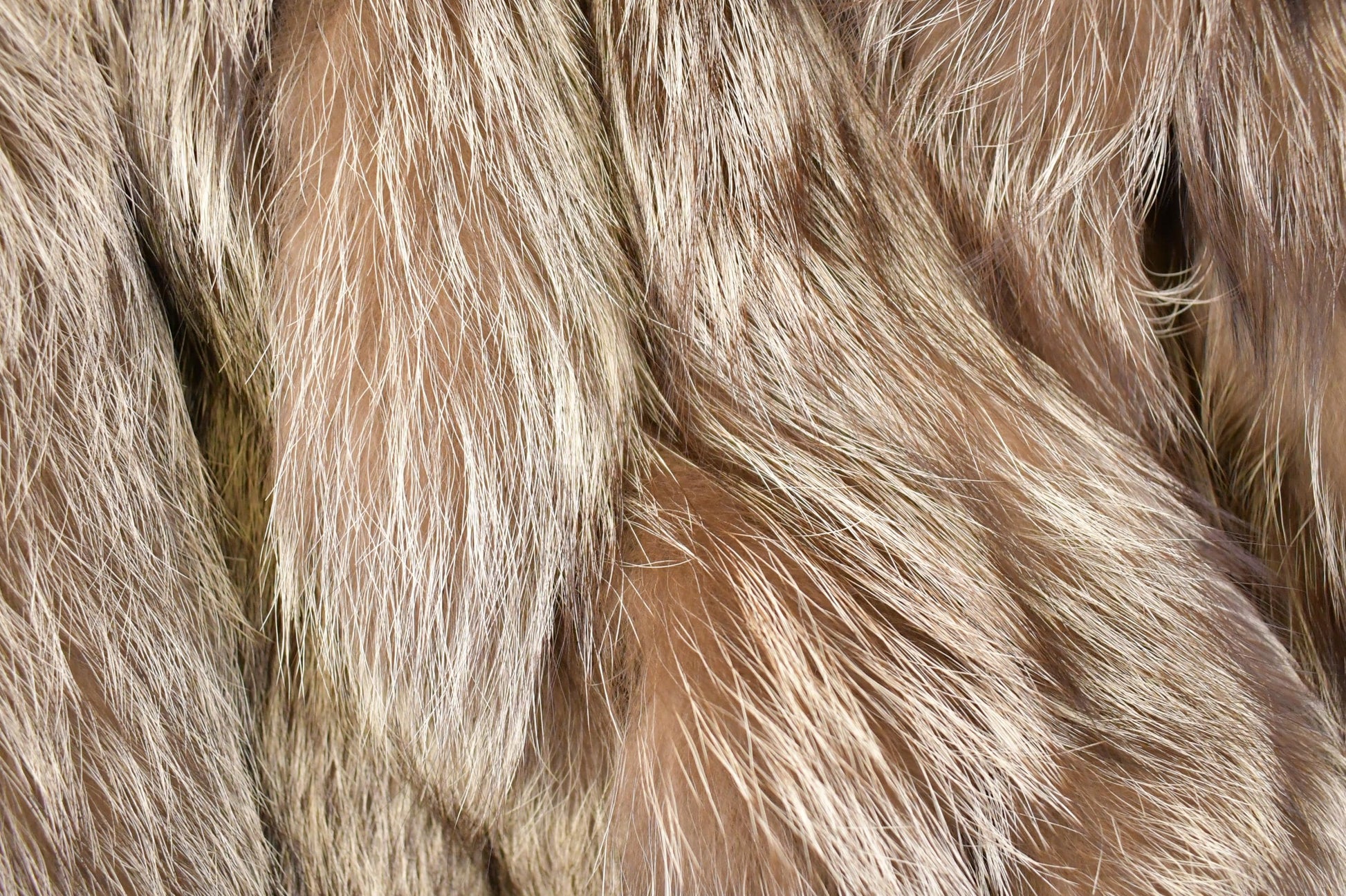Vintage 1980s Grey Fox Mid Length Fur Coat Saga Fox Royal Made In USA from propervintagecanada