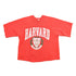 Vintage 1980s Harvard University Raglan Crewneck Sweater Men&