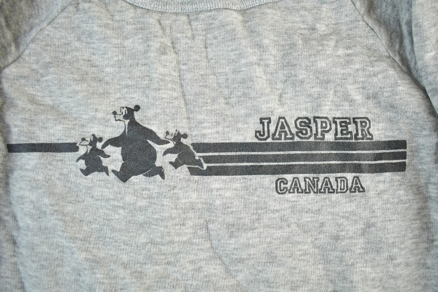Vintage 1980s Jasper Alberta Souvenir Crewneck Sweatshirt Youth Large from propervintagecanada