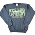 Vintage 1980s North Dakota State University Crewneck Mens S from propervintagecanada