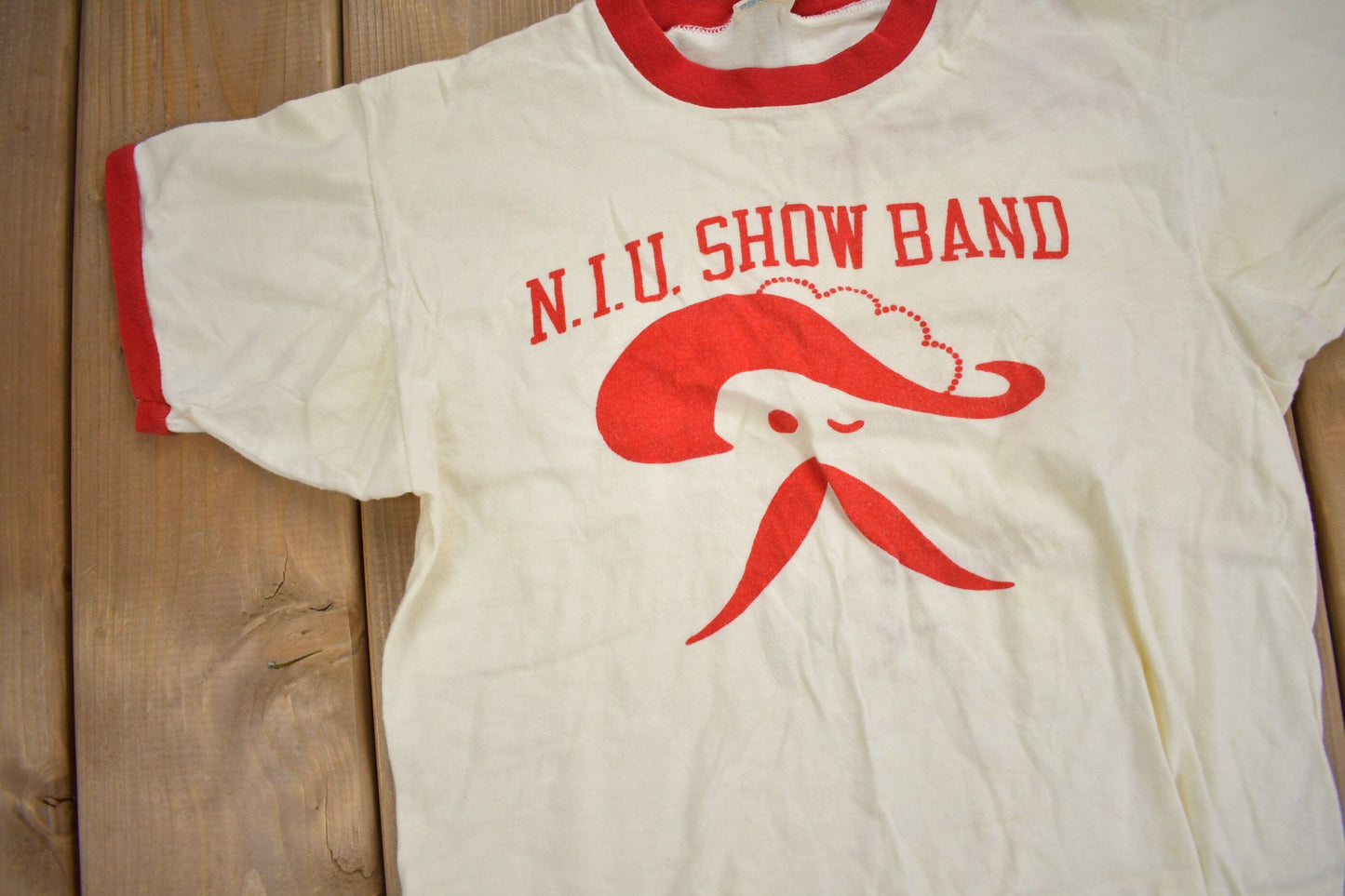 Vintage 1980s Northern Illinois University Collegiate Champion T-Shirt Men's XS from propervintagecanada