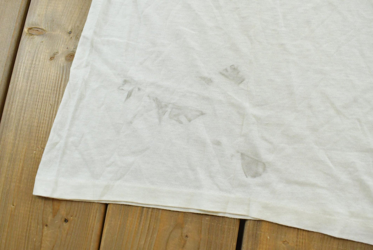Vintage 1980s Norwegian Cruise Line Scuba Souvenir Ringer T-Shirt Men's L from propervintagecanada