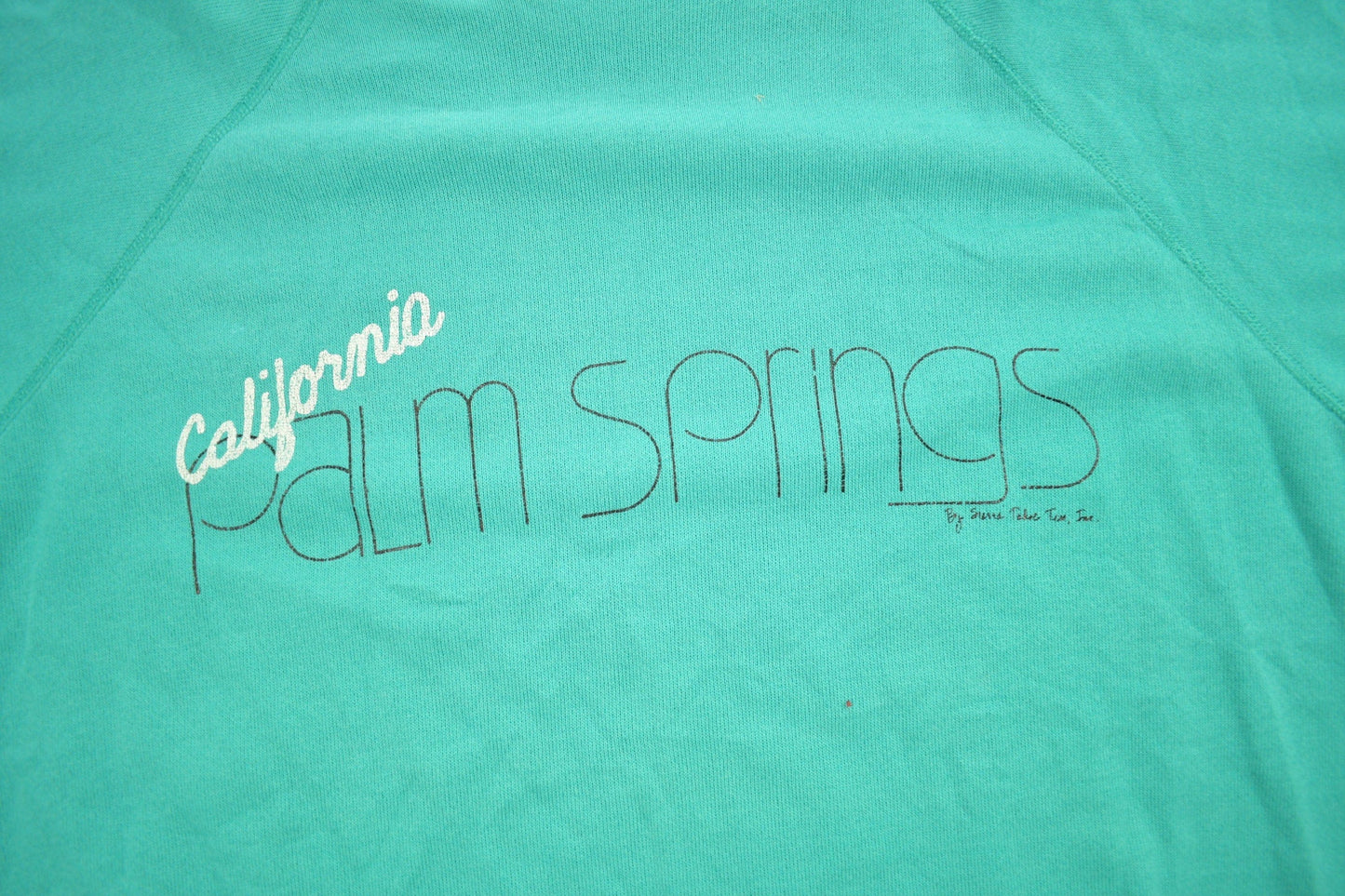 Vintage 1980s Palm Springs California Raglan Crewneck SweatshirtMen's Medium from propervintagecanada
