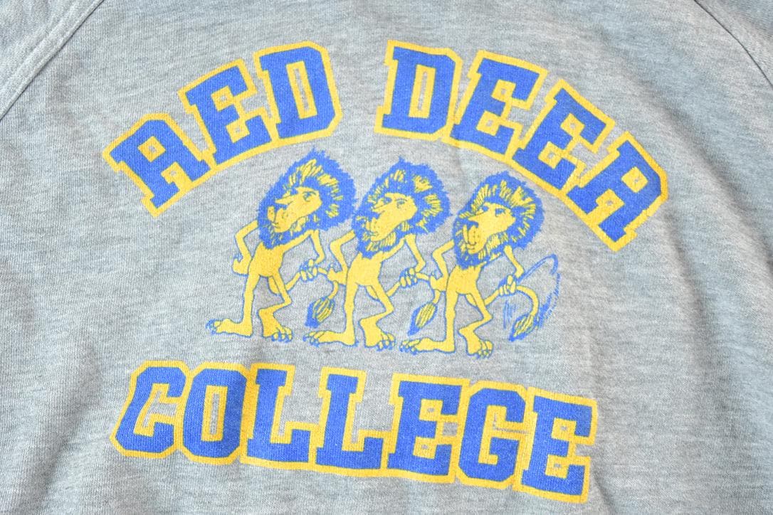 Vintage 1980s Red Deer College Hoodie Mens S from propervintagecanada