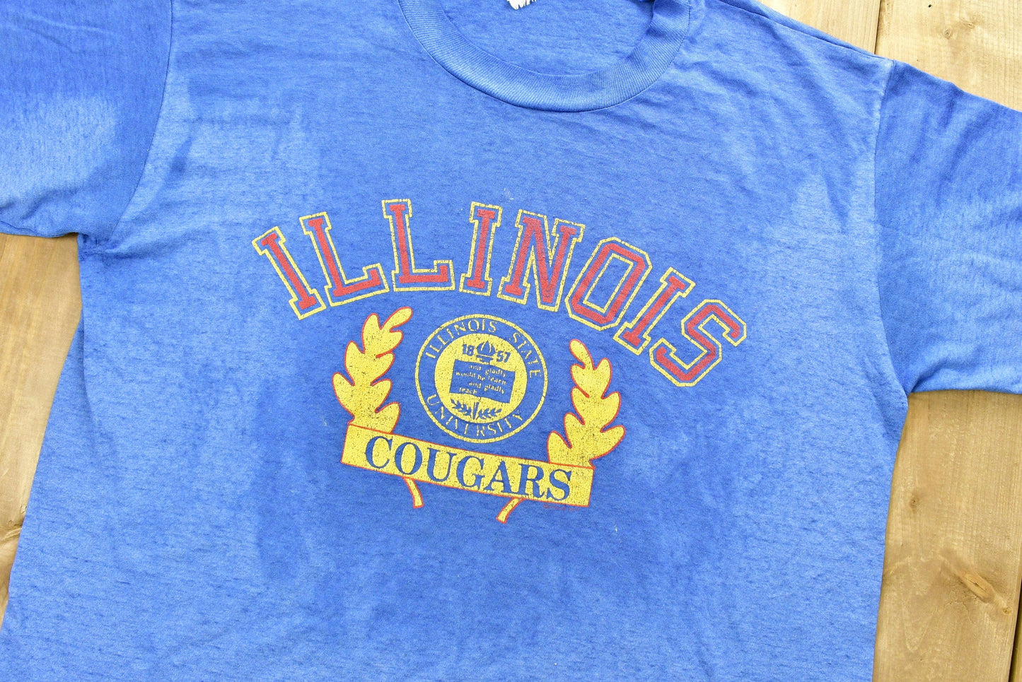 Vintage 1980s University of Illinois Cougars Collegiate T-Shirt Men's Medium from propervintagecanada