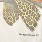 Vintage 1985 The Waterhouse Inc Sea Turtles FAB Souvenir Travel T-Shirt Men's M from propervintagecanada