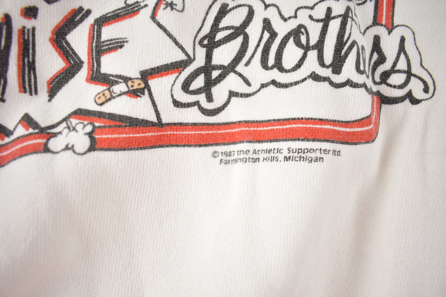 Vintage 1987 Detroit Red WIngs Bruise Brothers NHL Hockey Crewneck Sweatshirt Men's Small from propervintagecanada