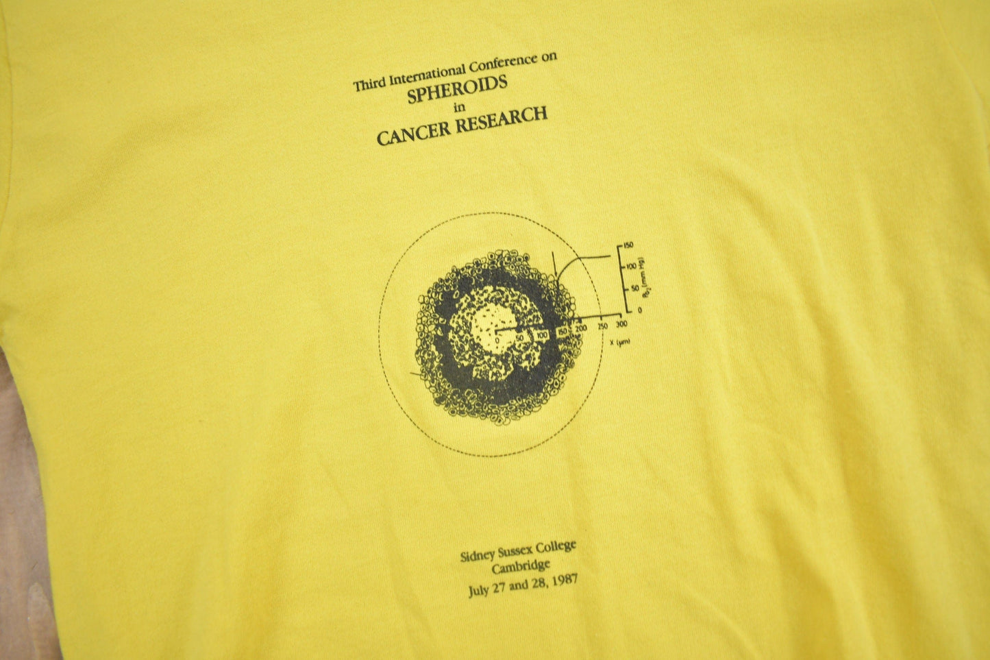 Vintage 1987 Sidney Sussex College Cambridge Cancer Research Graphic T Shirt Men's M from propervintagecanada