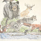 Vintage 1989 Harlequin Forest Animals FAB Outdoorsman Souvenir Travel T-Shirt Men's XL from propervintagecanada