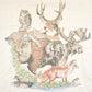 Vintage 1990's 1000 Islands NY Wolf Bear Outdoorsman T-Shirt Men's M from propervintagecanada