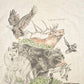 Vintage 1990's 1000 Islands NY Wolf Bear Outdoorsman T-Shirt Men's M from propervintagecanada