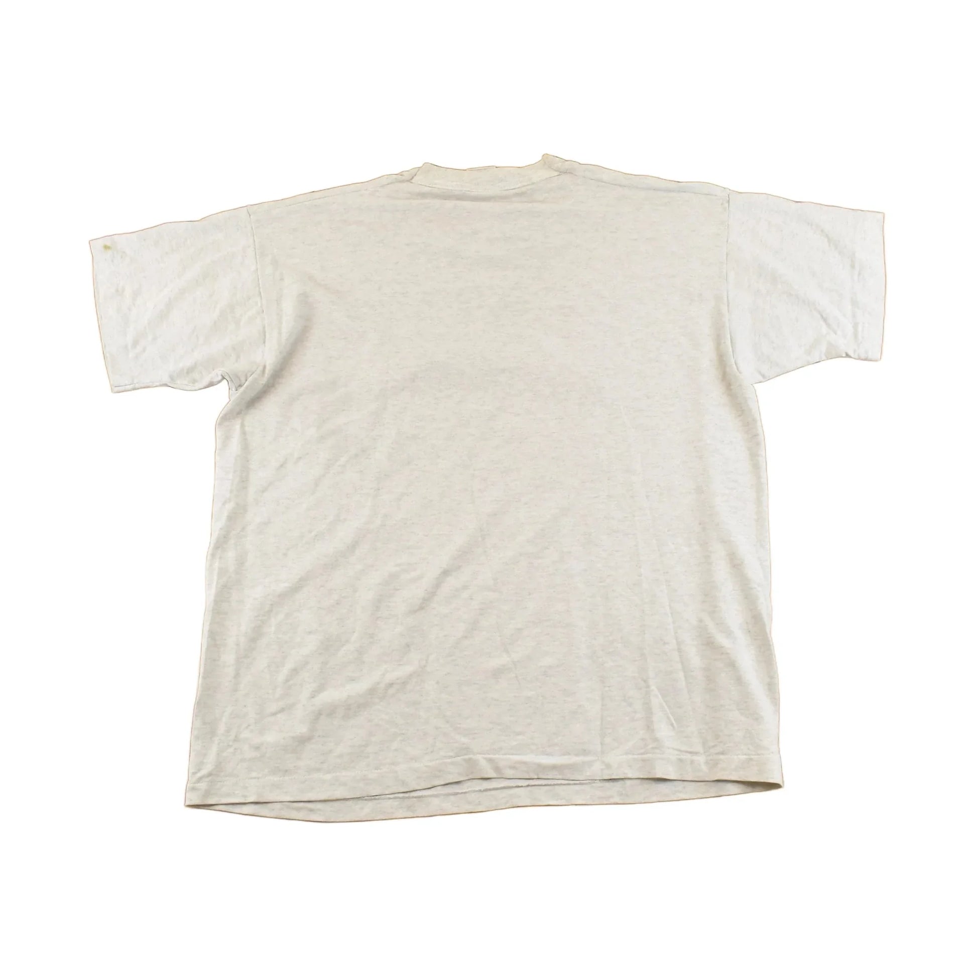 Vintage 1990's Arizona Dry Heat Pool Skeletons Souvenir Travel T-Shirt Men's L from propervintagecanada