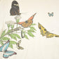 Vintage 1990's Butterfly Family Souvenir Outdoorsman T-Shirt Womens M from propervintagecanada