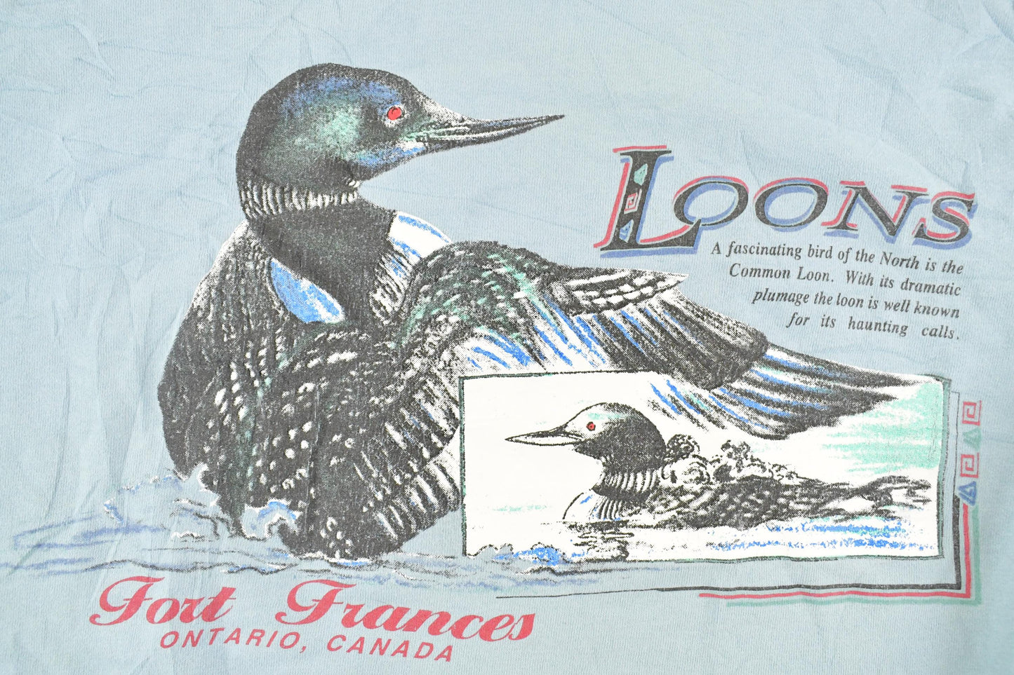 Vintage 1990's Fort Frances Ontario Loons Souvenir T-Shirt Men's M from propervintagecanada