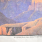 Vintage 1990's Grand Canyon Souvenir Travel T-Shirt Mens L from propervintagecanada