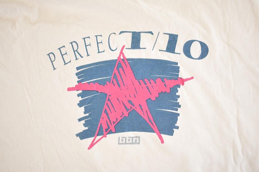 Vintage 1990's Perfect 10 Souvenir Travel T-Shirt Mens L from propervintagecanada
