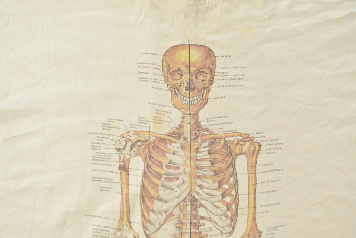 Vintage 1990's Skeleton Anatomy Souvenir T-Shirt Men's L from propervintagecanada