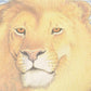 Vintage 1990's Thrashed Lion Nature's Pride Souvenir Travel T-Shirt Men's L from propervintagecanada