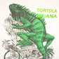 Vintage 1990's Tortola Iguana Souvenir Travel T-Shirt Men's L from propervintagecanada