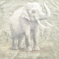 Vintage 1990s African Lion Safari Elephant Theme Graphic T-Shirt Men's Large from propervintagecanada