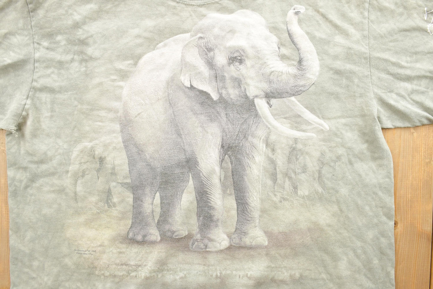 Vintage 1990s African Lion Safari Elephant Theme Graphic T-Shirt Men's Large from propervintagecanada