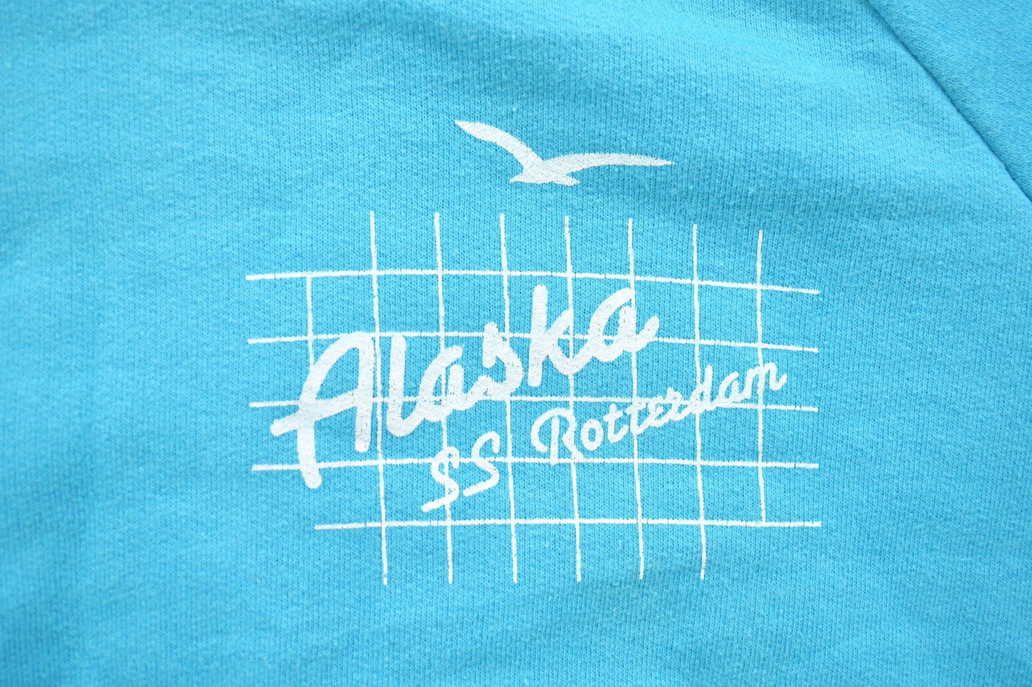 Vintage 1990s Alaska SS Rotterdam Graphic Hoodie Men's Small from propervintagecanada