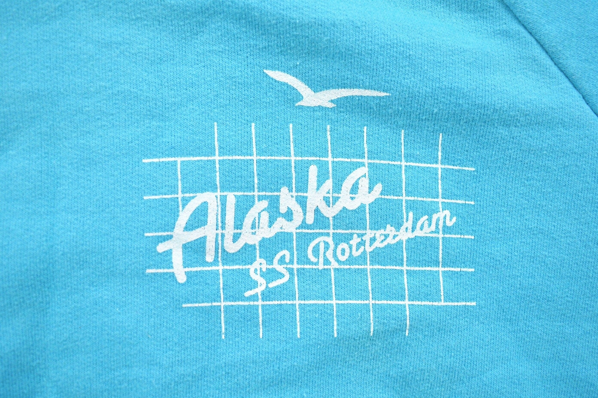 Vintage 1990s Alaska SS Rotterdam Graphic Hoodie Men's Small from propervintagecanada